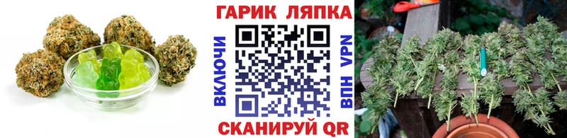 как найти закладки  Жирновск  ссылка на мегу   Canna-Cookies марихуана 