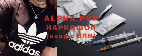 apvp Горняк