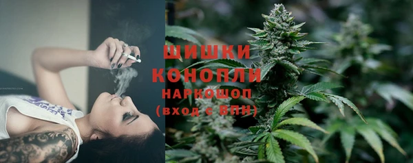 apvp Горняк