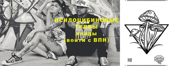 apvp Горняк