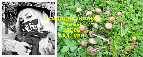 apvp Горняк