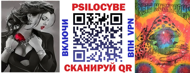 Псилоцибиновые грибы Psilocybine cubensis  Жирновск 